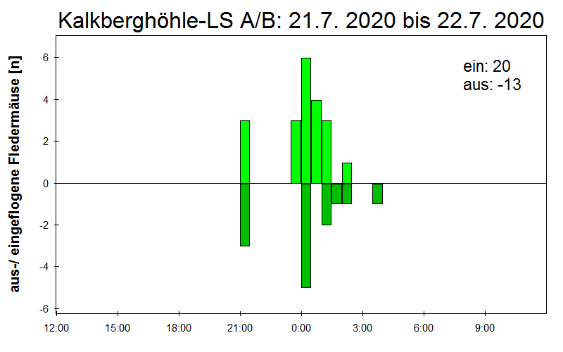[Fledermaus] Lichtschranke: Segeberger Kalkberg (NABU Schleswig-Holstein)