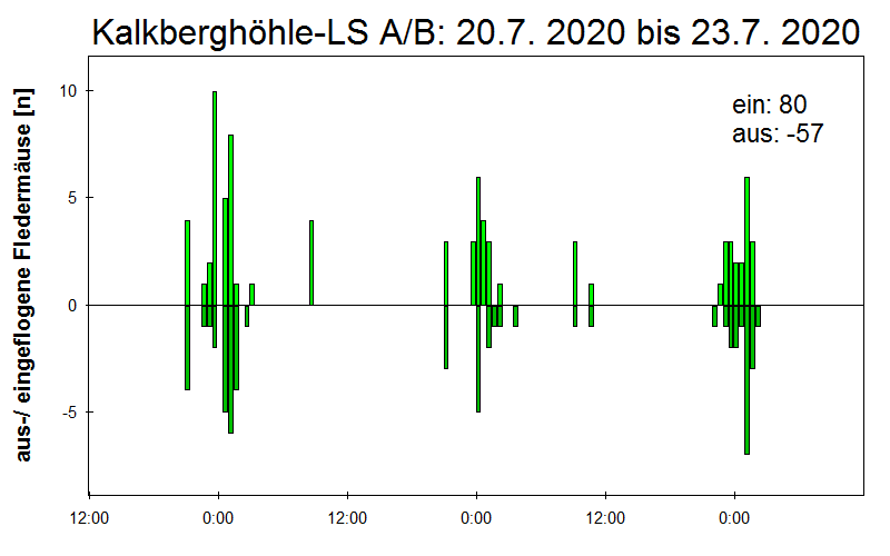 [Fledermaus] Lichtschranke: Segeberger Kalkberg (NABU Schleswig-Holstein)