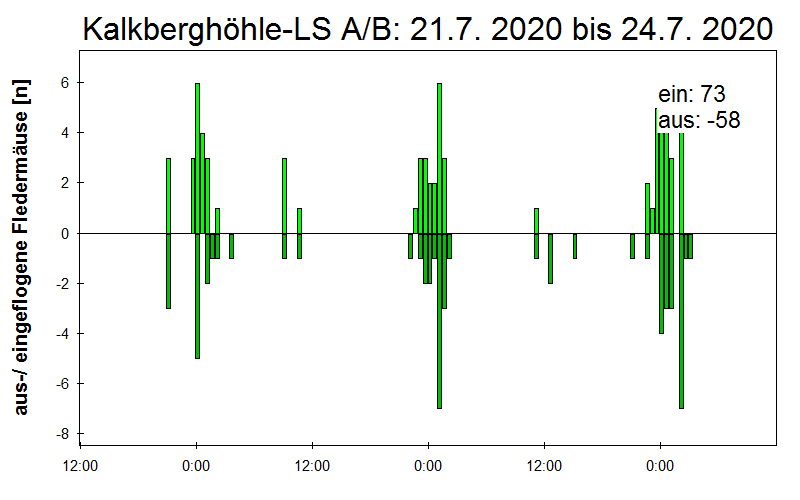 [Fledermaus] Lichtschranke: Segeberger Kalkberg (NABU Schleswig-Holstein)