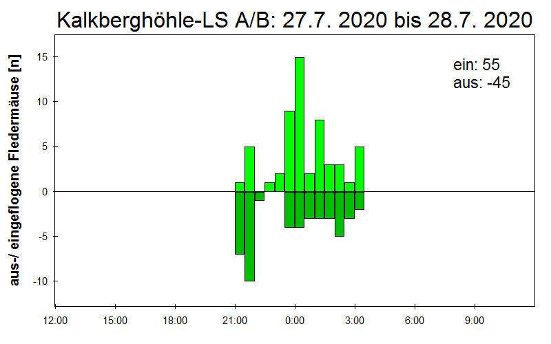 [Fledermaus] Lichtschranke: Segeberger Kalkberg (NABU Schleswig-Holstein)