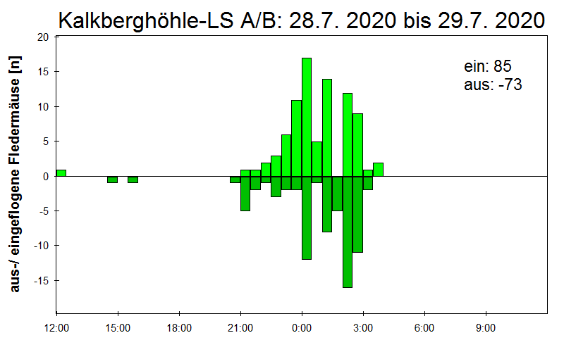 [Fledermaus] Lichtschranke: Segeberger Kalkberg (NABU Schleswig-Holstein)