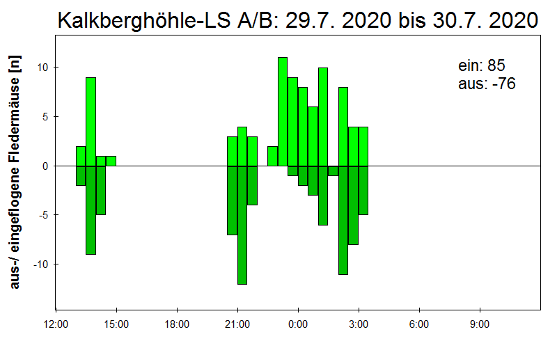 [Fledermaus] Lichtschranke: Segeberger Kalkberg (NABU Schleswig-Holstein)