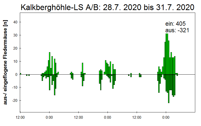 [Fledermaus] Lichtschranke: Segeberger Kalkberg (NABU Schleswig-Holstein)