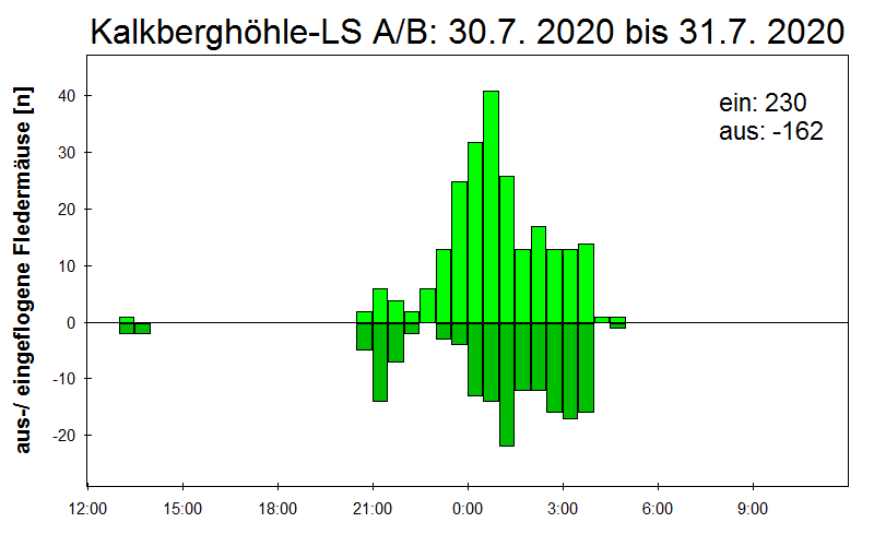 [Fledermaus] Lichtschranke: Segeberger Kalkberg (NABU Schleswig-Holstein)