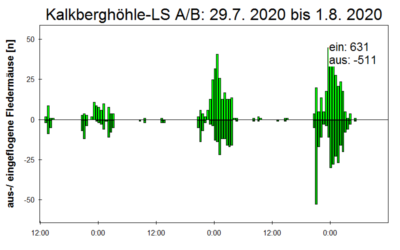 [Fledermaus] Lichtschranke: Segeberger Kalkberg (NABU Schleswig-Holstein)