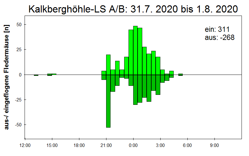 [Fledermaus] Lichtschranke: Segeberger Kalkberg (NABU Schleswig-Holstein)
