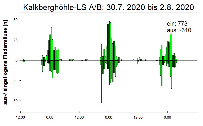 [Fledermaus] Lichtschranke: Segeberger Kalkberg (NABU Schleswig-Holstein)