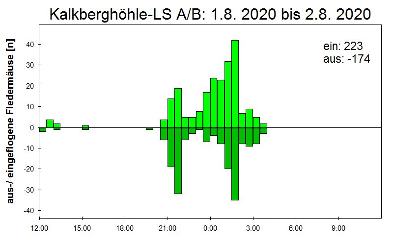 [Fledermaus] Lichtschranke: Segeberger Kalkberg (NABU Schleswig-Holstein)