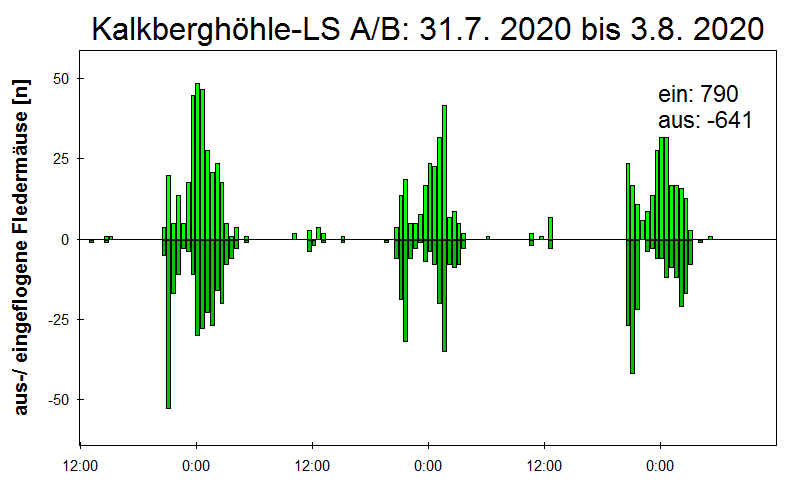 [Fledermaus] Lichtschranke: Segeberger Kalkberg (NABU Schleswig-Holstein)