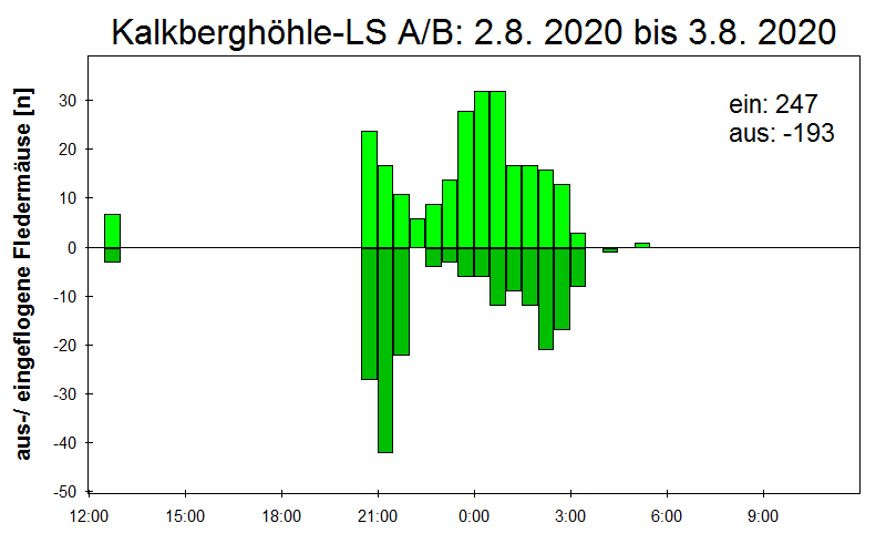[Fledermaus] Lichtschranke: Segeberger Kalkberg (NABU Schleswig-Holstein)