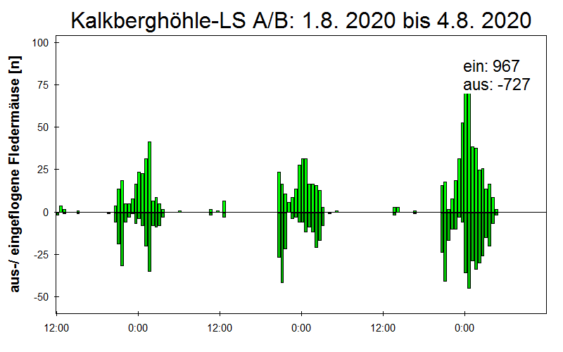 [Fledermaus] Lichtschranke: Segeberger Kalkberg (NABU Schleswig-Holstein)