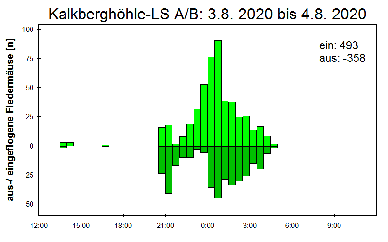 [Fledermaus] Lichtschranke: Segeberger Kalkberg (NABU Schleswig-Holstein)