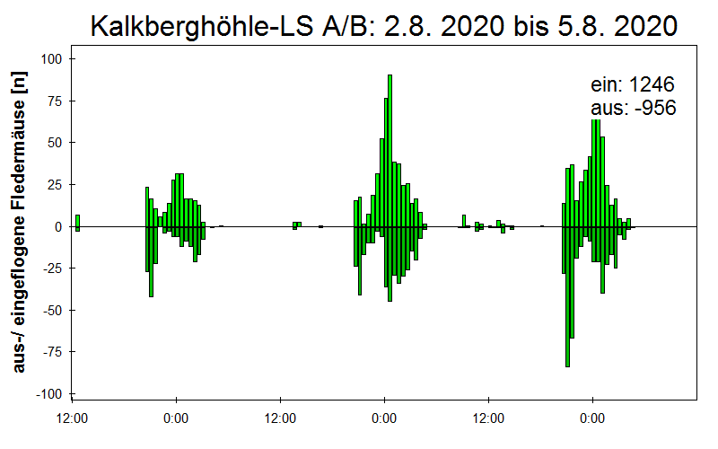 [Fledermaus] Lichtschranke: Segeberger Kalkberg (NABU Schleswig-Holstein)