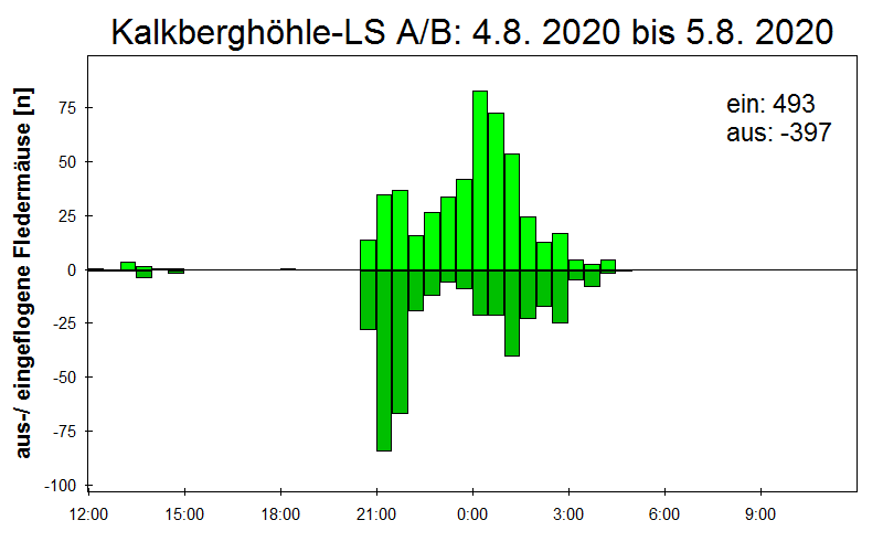 [Fledermaus] Lichtschranke: Segeberger Kalkberg (NABU Schleswig-Holstein)