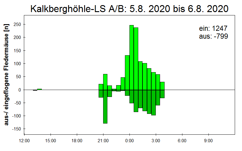 [Fledermaus] Lichtschranke: Segeberger Kalkberg (NABU Schleswig-Holstein)