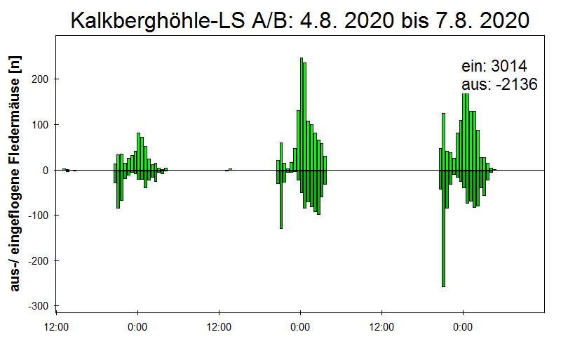 [Fledermaus] Lichtschranke: Segeberger Kalkberg (NABU Schleswig-Holstein)