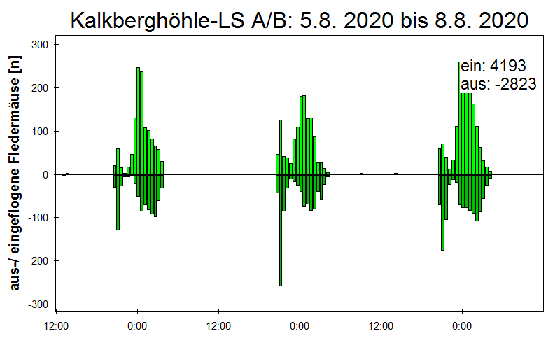 [Fledermaus] Lichtschranke: Segeberger Kalkberg (NABU Schleswig-Holstein)