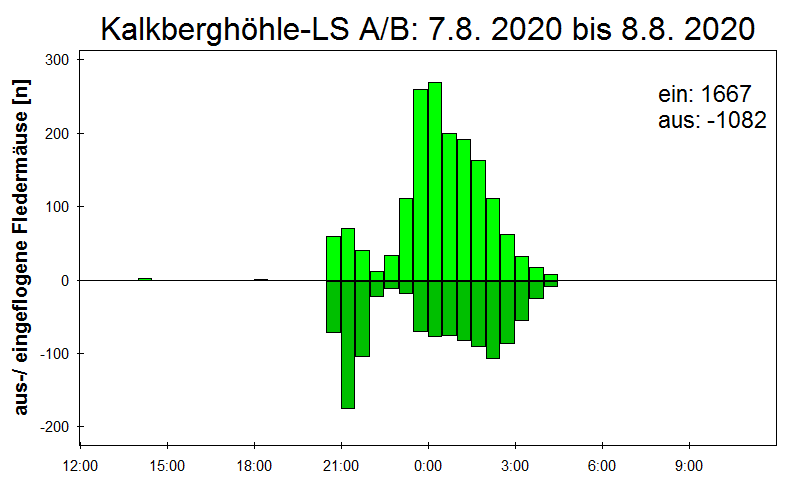 [Fledermaus] Lichtschranke: Segeberger Kalkberg (NABU Schleswig-Holstein)