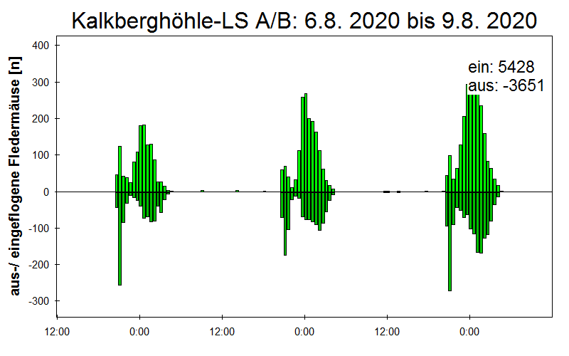 [Fledermaus] Lichtschranke: Segeberger Kalkberg (NABU Schleswig-Holstein)