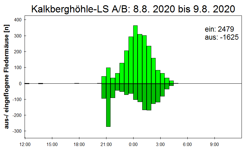 [Fledermaus] Lichtschranke: Segeberger Kalkberg (NABU Schleswig-Holstein)
