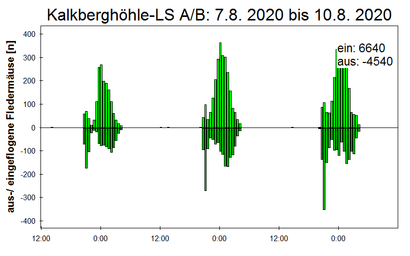 [Fledermaus] Lichtschranke: Segeberger Kalkberg (NABU Schleswig-Holstein)