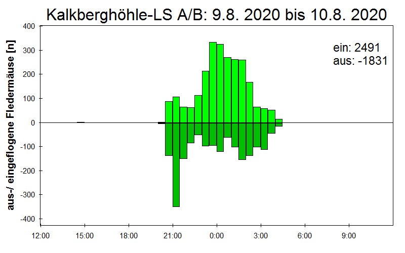 [Fledermaus] Lichtschranke: Segeberger Kalkberg (NABU Schleswig-Holstein)