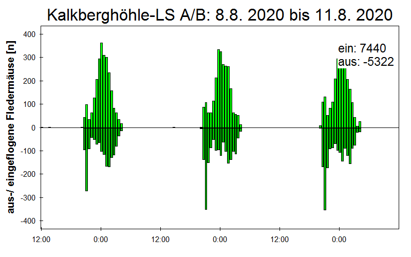 [Fledermaus] Lichtschranke: Segeberger Kalkberg (NABU Schleswig-Holstein)