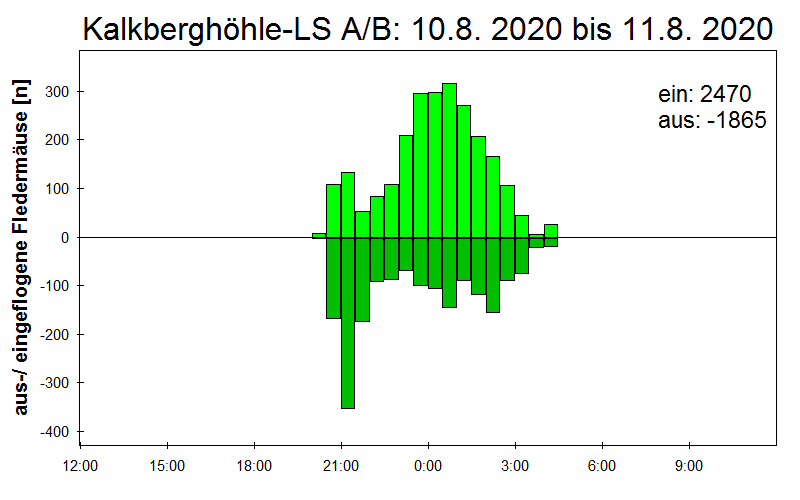 [Fledermaus] Lichtschranke: Segeberger Kalkberg (NABU Schleswig-Holstein)