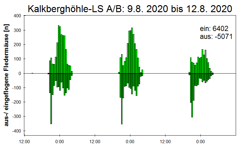 [Fledermaus] Lichtschranke: Segeberger Kalkberg (NABU Schleswig-Holstein)