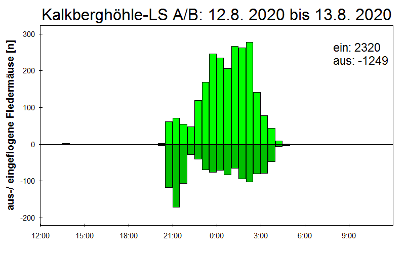 [Fledermaus] Lichtschranke: Segeberger Kalkberg (NABU Schleswig-Holstein)