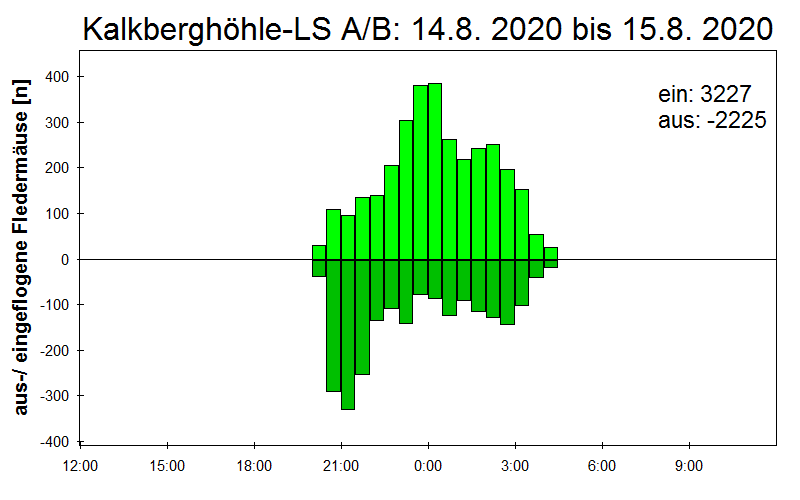 [Fledermaus] Lichtschranke: Segeberger Kalkberg (NABU Schleswig-Holstein)