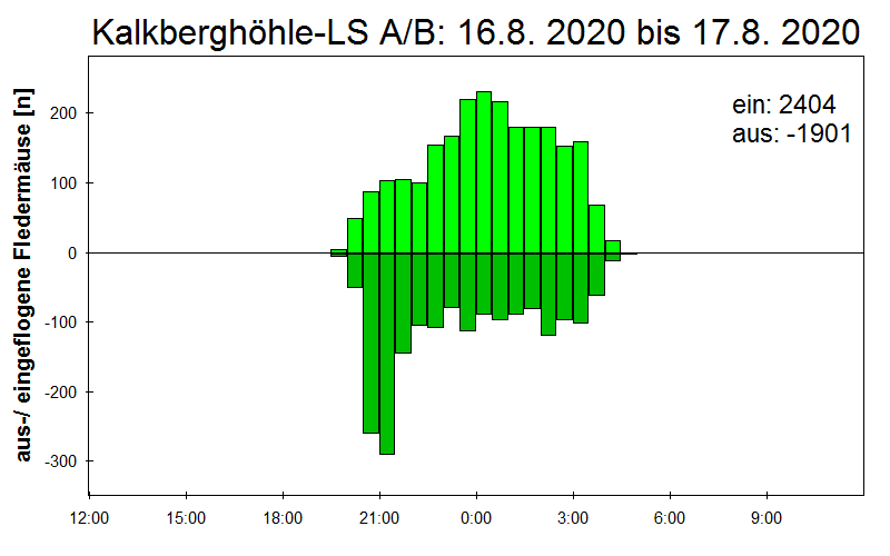 [Fledermaus] Lichtschranke: Segeberger Kalkberg (NABU Schleswig-Holstein)