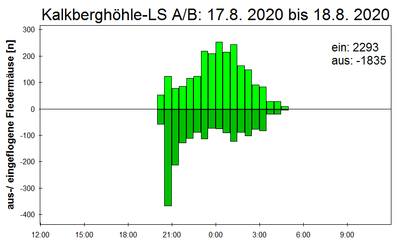 [Fledermaus] Lichtschranke: Segeberger Kalkberg (NABU Schleswig-Holstein)