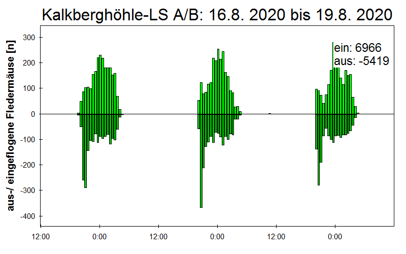 [Fledermaus] Lichtschranke: Segeberger Kalkberg (NABU Schleswig-Holstein)