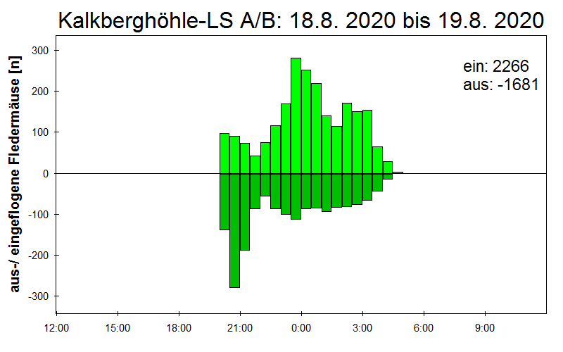 [Fledermaus] Lichtschranke: Segeberger Kalkberg (NABU Schleswig-Holstein)