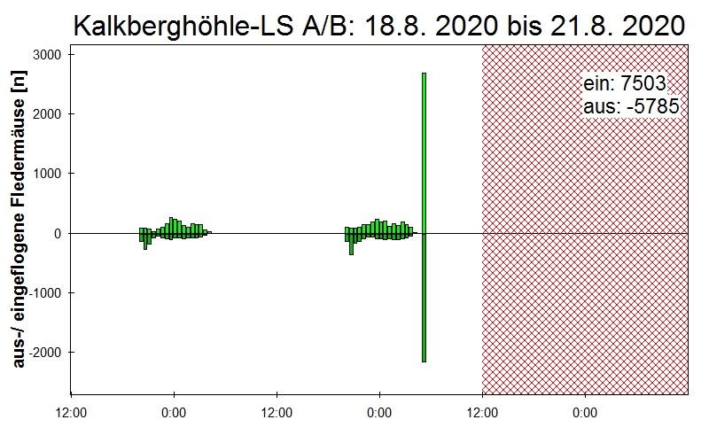 [Fledermaus] Lichtschranke: Segeberger Kalkberg (NABU Schleswig-Holstein)