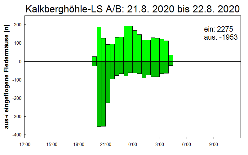 [Fledermaus] Lichtschranke: Segeberger Kalkberg (NABU Schleswig-Holstein)