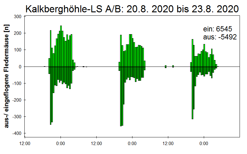 [Fledermaus] Lichtschranke: Segeberger Kalkberg (NABU Schleswig-Holstein)