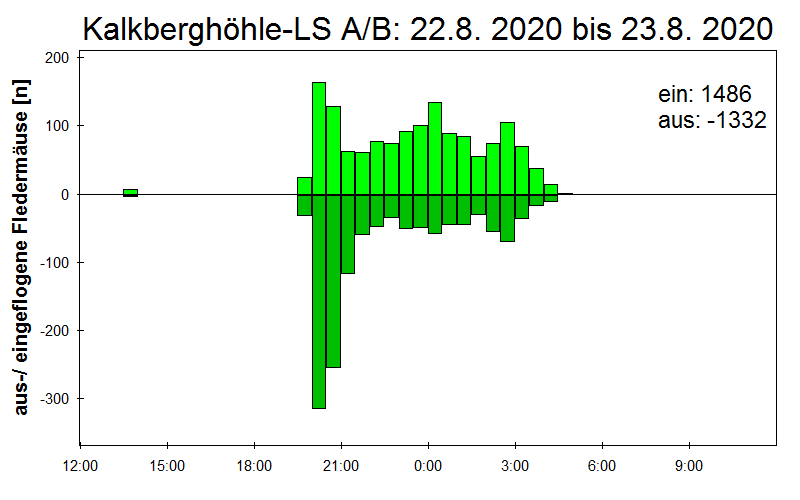 [Fledermaus] Lichtschranke: Segeberger Kalkberg (NABU Schleswig-Holstein)