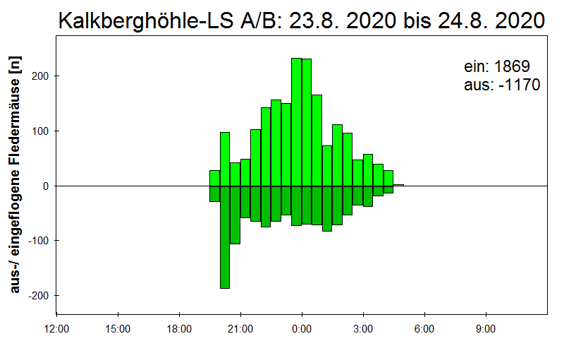 [Fledermaus] Lichtschranke: Segeberger Kalkberg (NABU Schleswig-Holstein)