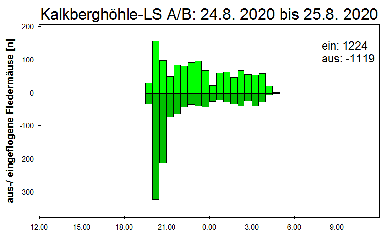 [Fledermaus] Lichtschranke: Segeberger Kalkberg (NABU Schleswig-Holstein)