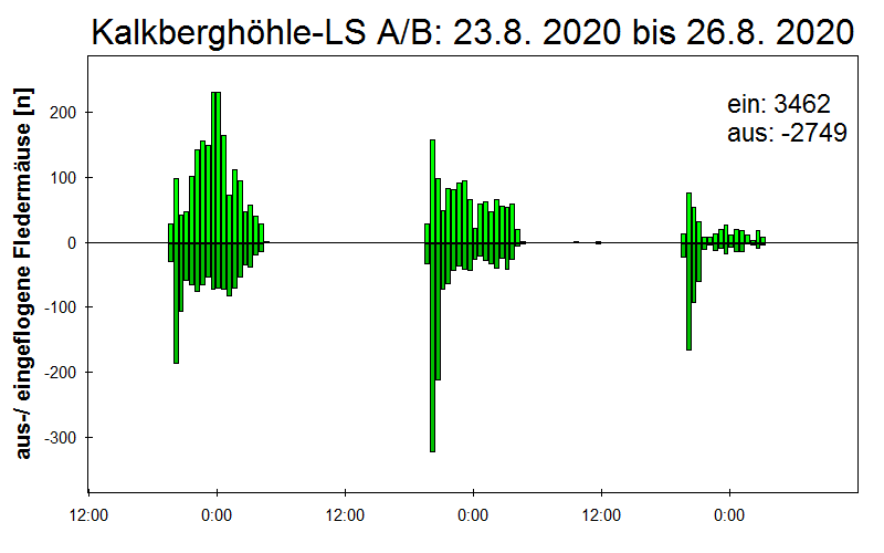 [Fledermaus] Lichtschranke: Segeberger Kalkberg (NABU Schleswig-Holstein)