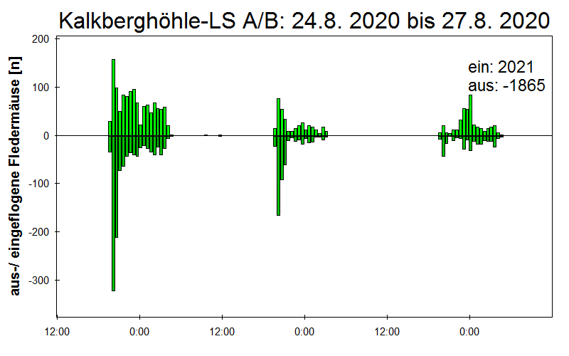[Fledermaus] Lichtschranke: Segeberger Kalkberg (NABU Schleswig-Holstein)
