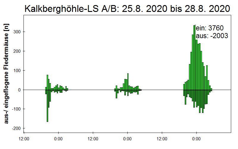 [Fledermaus] Lichtschranke: Segeberger Kalkberg (NABU Schleswig-Holstein)