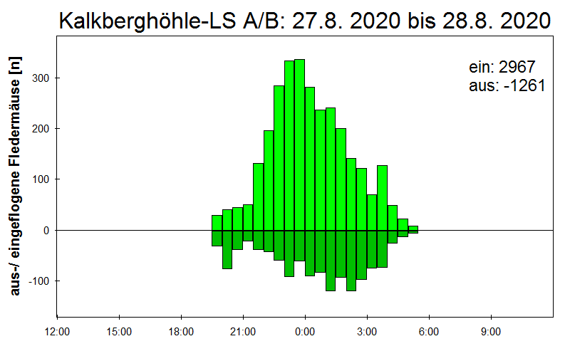 [Fledermaus] Lichtschranke: Segeberger Kalkberg (NABU Schleswig-Holstein)
