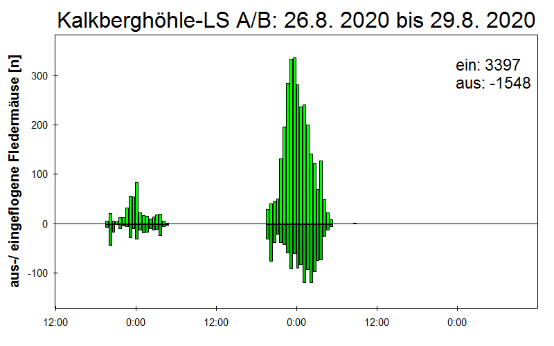 [Fledermaus] Lichtschranke: Segeberger Kalkberg (NABU Schleswig-Holstein)