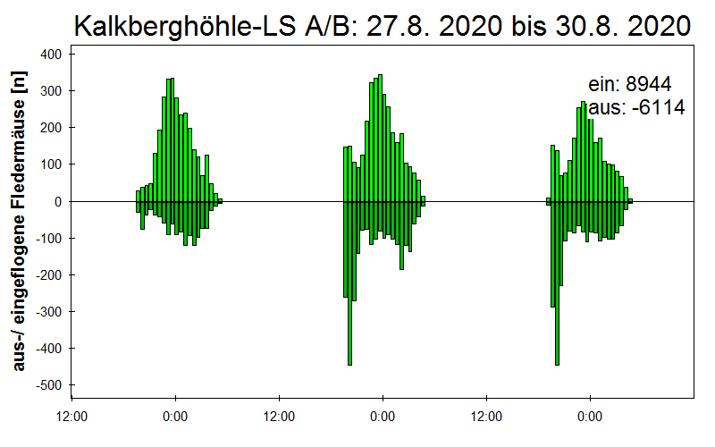 [Fledermaus] Lichtschranke: Segeberger Kalkberg (NABU Schleswig-Holstein)