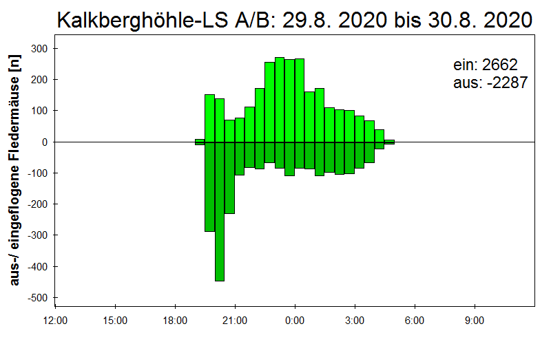 [Fledermaus] Lichtschranke: Segeberger Kalkberg (NABU Schleswig-Holstein)
