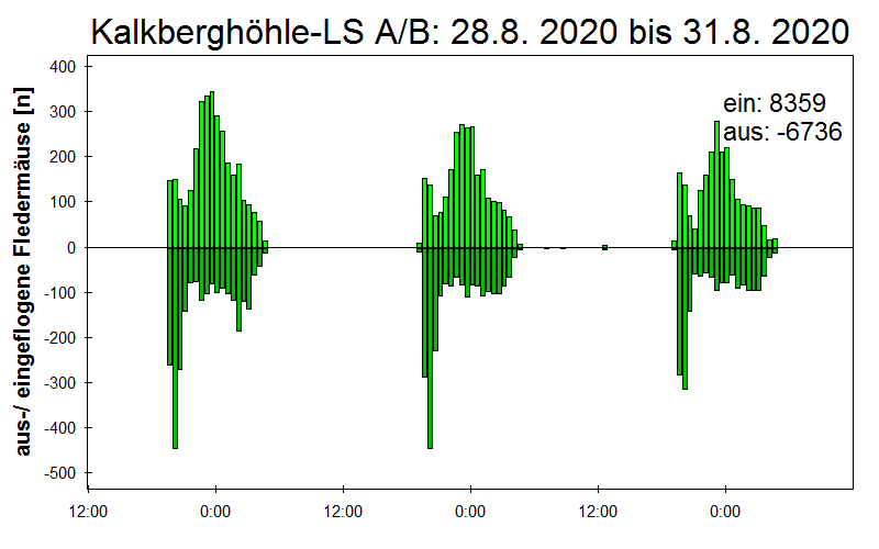 [Fledermaus] Lichtschranke: Segeberger Kalkberg (NABU Schleswig-Holstein)