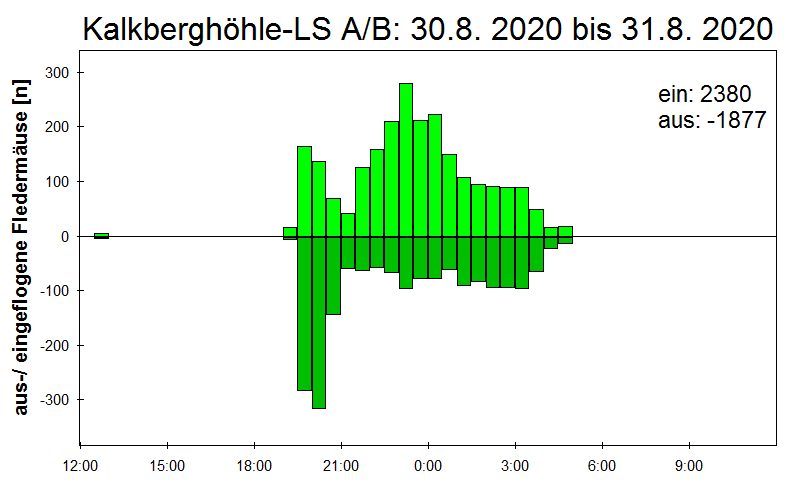 [Fledermaus] Lichtschranke: Segeberger Kalkberg (NABU Schleswig-Holstein)
